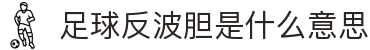 波胆比分数据库_历史波胆样本筛查与实时赔率变化跟踪